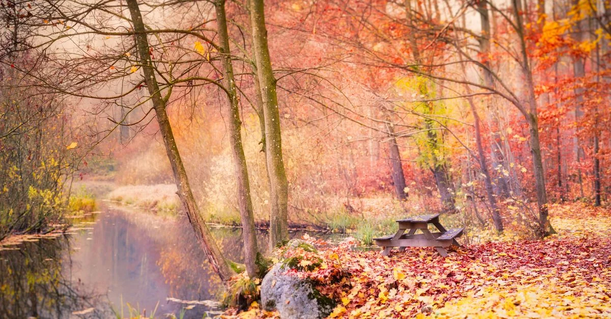 A tranquil autumn landscape featuring a park bench amidst orange leaves by a calm river.