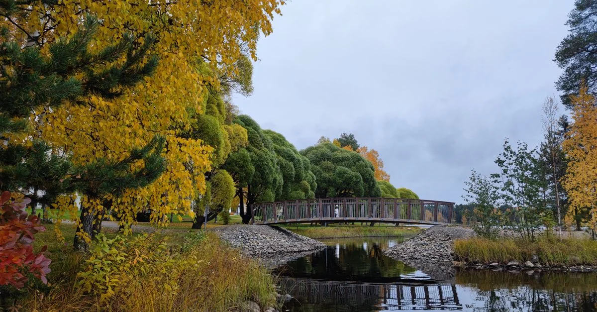 Peaceful autumn scenery with a footbridge and pond reflection in a lush park setting.