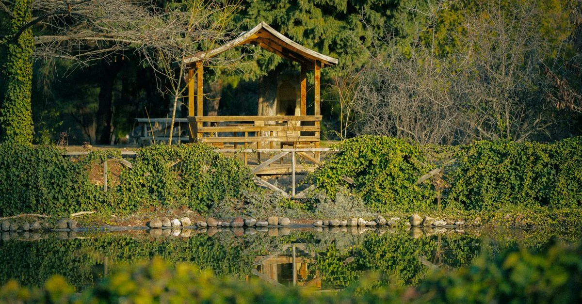 Peaceful wooden gazebo surrounded by lush greenery and reflected in a serene pond.