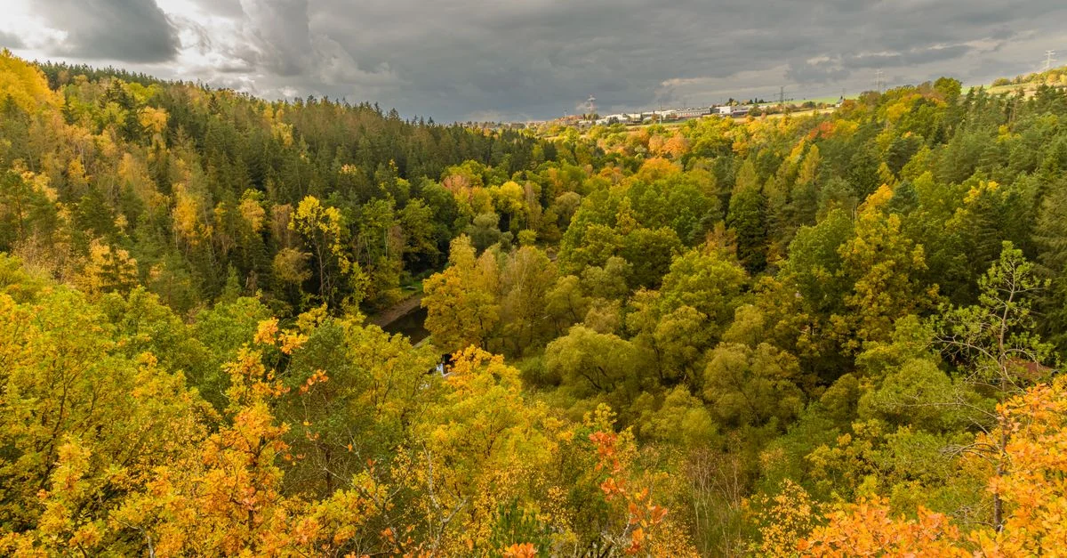 Explore the breathtaking aerial view of a vibrant autumn forest with rich colors and dramatic clouds.