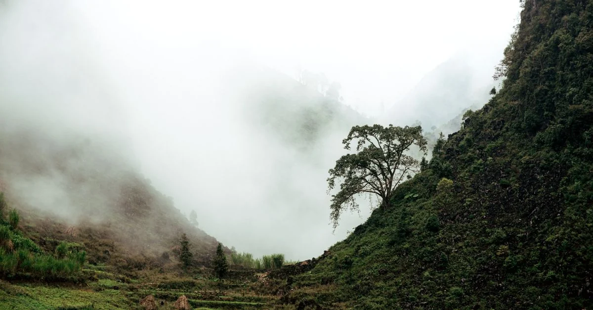 A serene misty valley surrounded by lush green hills and scattered trees.