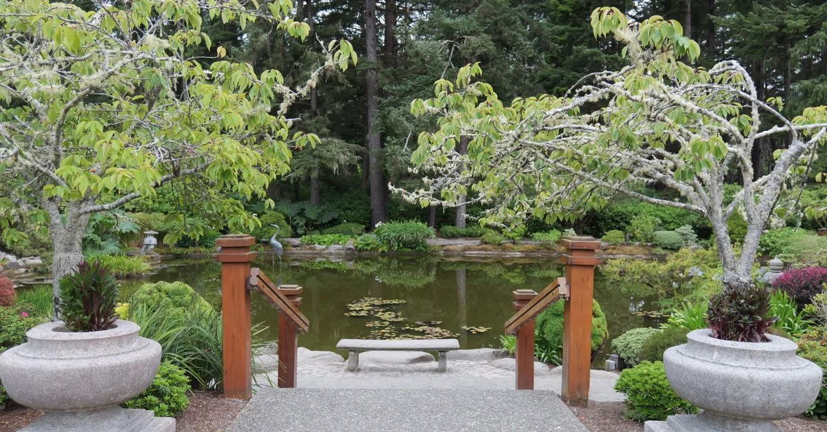 Peaceful Zen garden featuring a tranquil pond, lush greenery, and a wooden bench for relaxation.