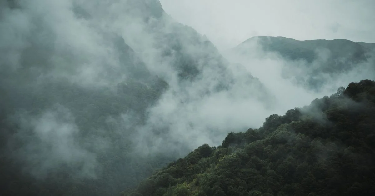 A peaceful misty mountain scene with lush green forests enveloped in clouds.