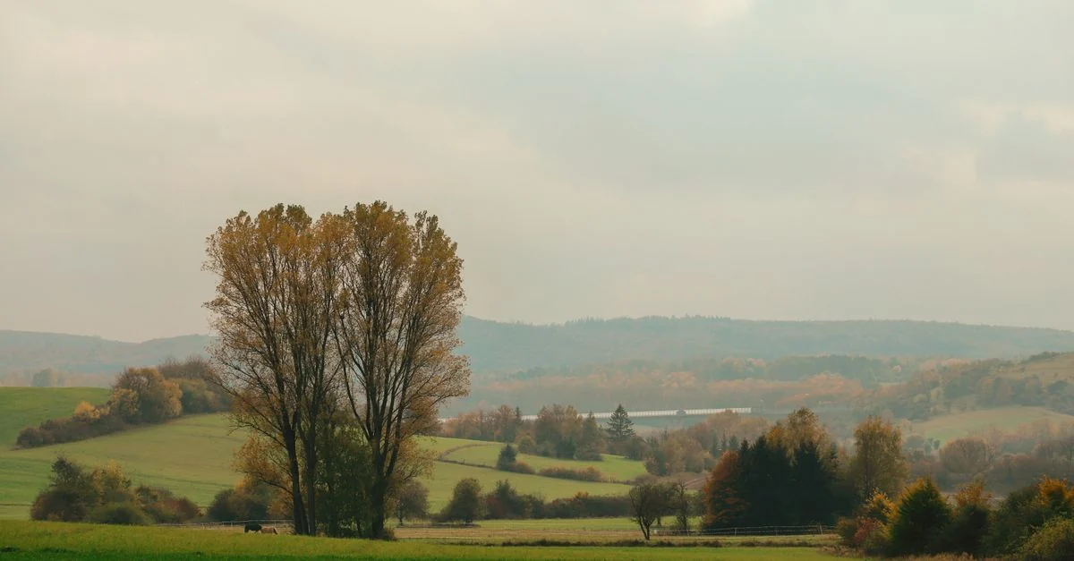 Peaceful autumn landscape featuring rolling hills, trees, and a misty sky. Ideal for nature enthusiasts.