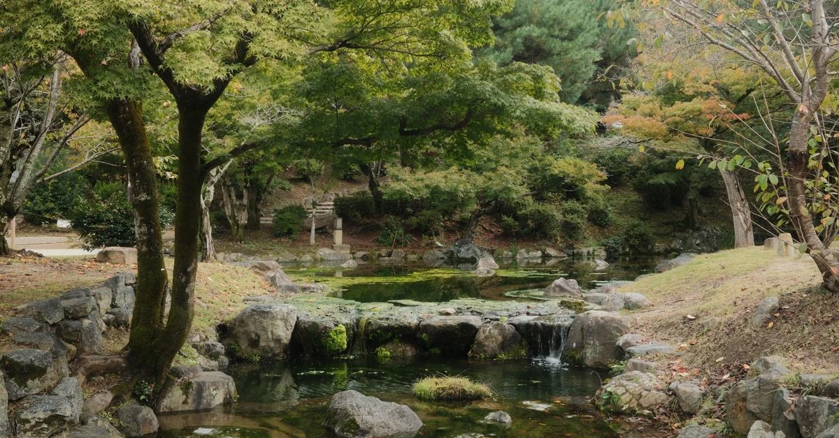 Serene scene of a traditional Japanese garden with lush greenery and a small waterfall.