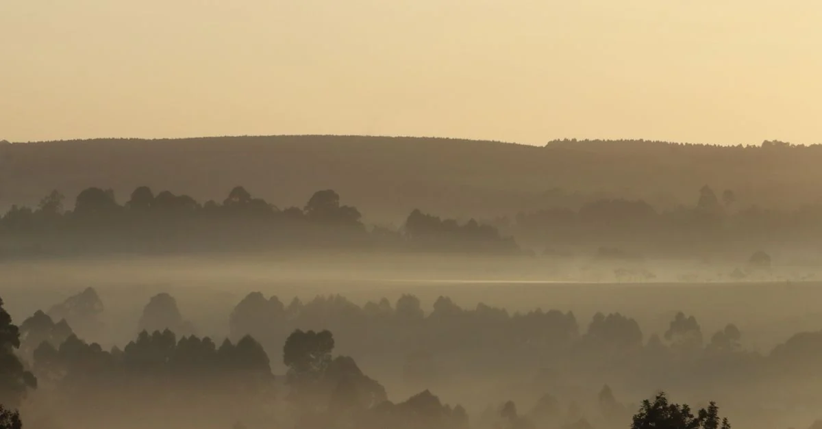 Serene misty hills at sunrise create a calming and ethereal landscape view.