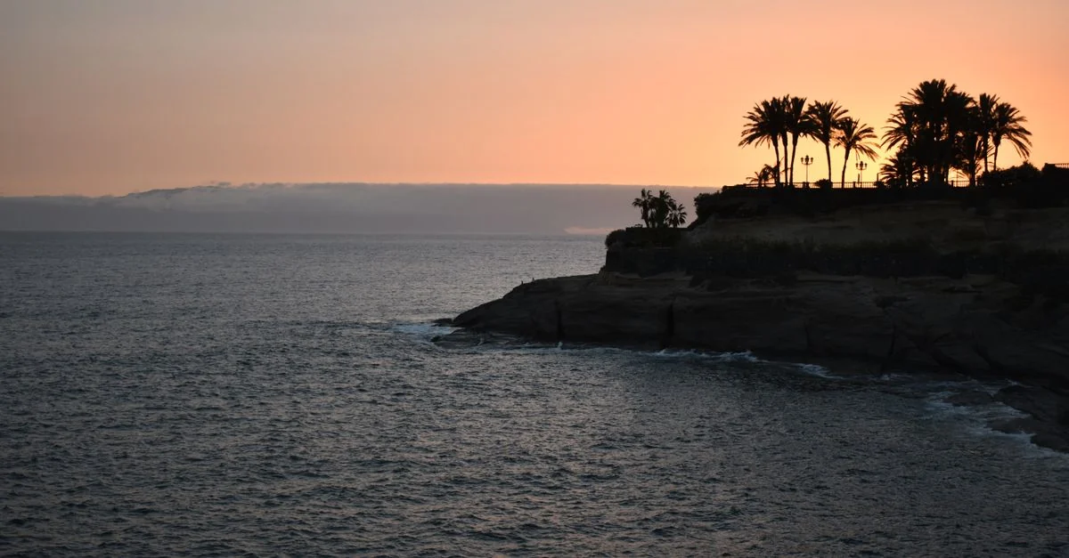 Silhouette of palm trees on a rocky coast at sunset, capturing a tranquil ocean view.